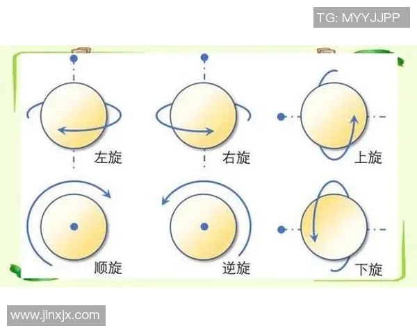 运动数据乒乓球新手必看从基础到战术的全面入门指南与技巧分享