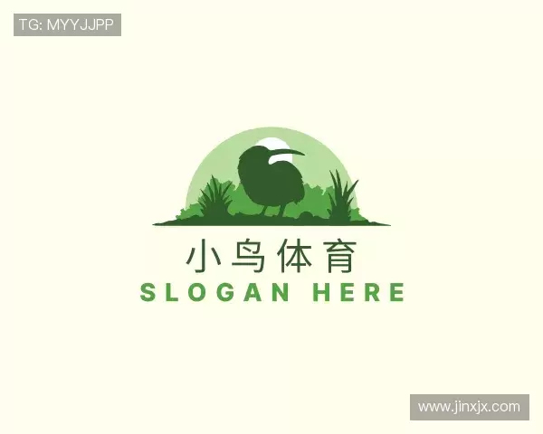 关于小鸟体育